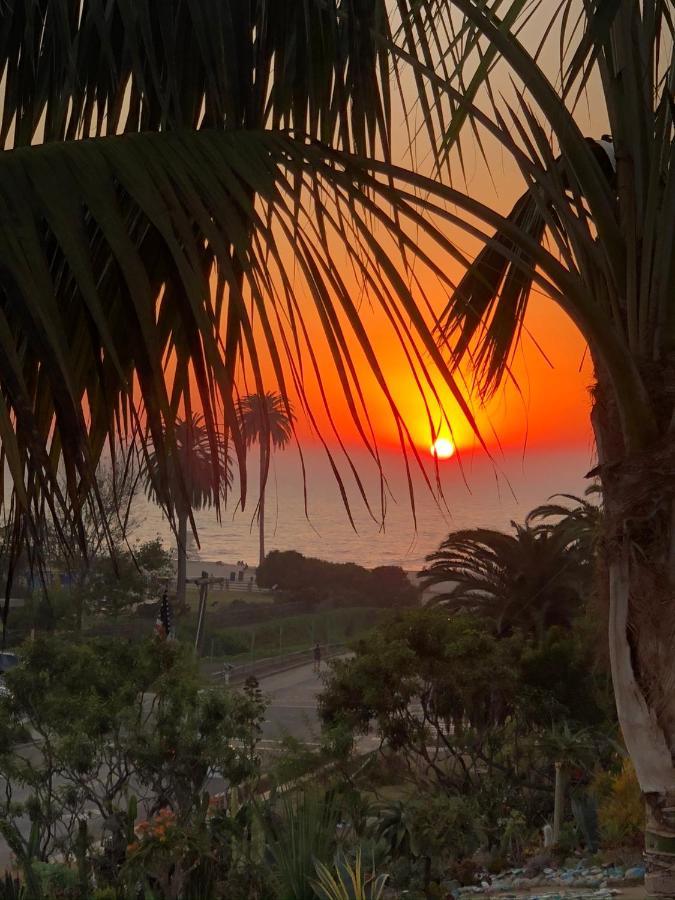 Moonlight Beach Motel Encinitas Zewnętrze zdjęcie